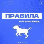 Правила выгула собак Напоминаем, что обращение с животными регулируется на&hellip;